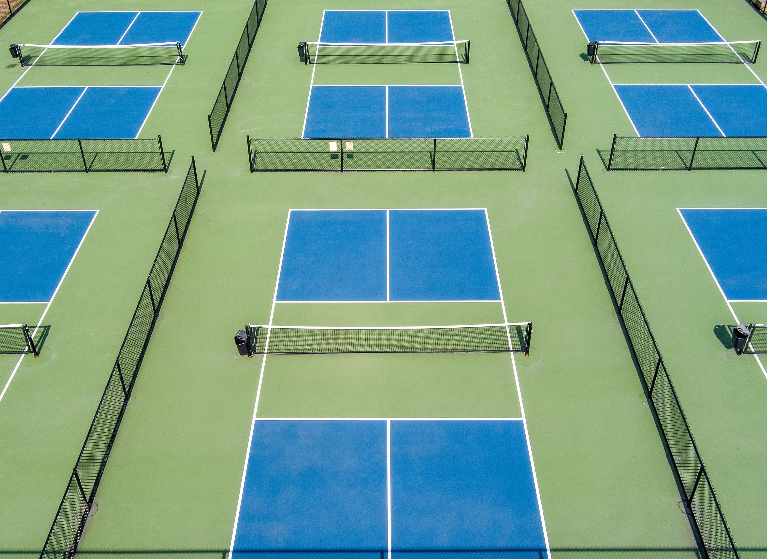 Pickleball players